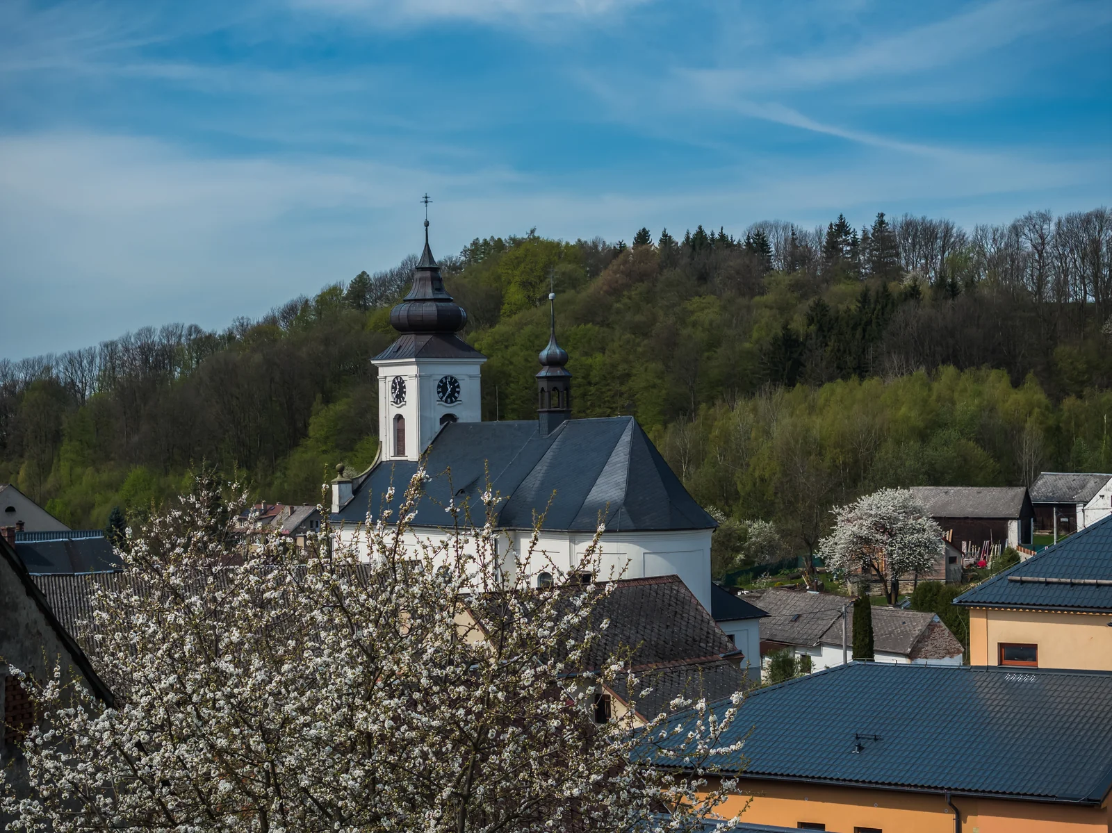 Mladoňov na jaře
